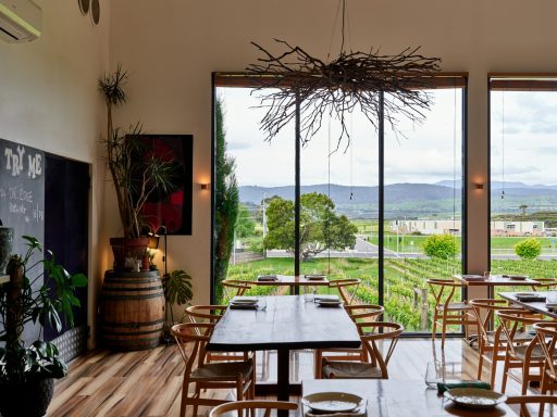 Vineyard View Event Space Elegant private dining table inside a modern tasting room overlooking scenic vineyard hills.